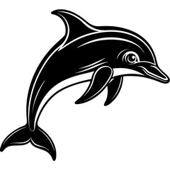 dolphin isolated on white background