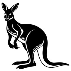 kangaroo vector illustration