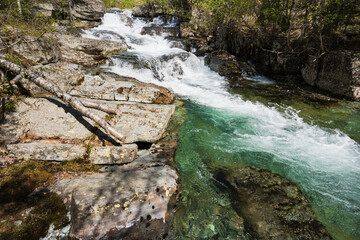 Wild nature of Norway: the purest emerald stream makes its way through stones and forest greenery...