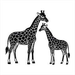 giraffe vector illustration