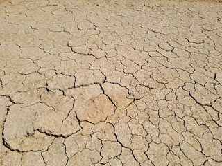 dry cracked earth