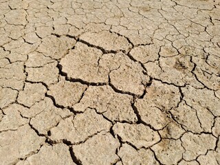 dry cracked earth