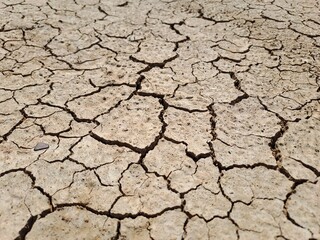 dry cracked earth