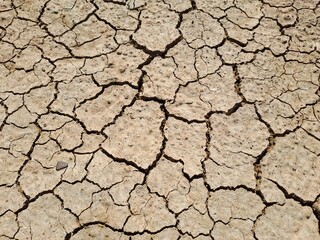 dry cracked earth