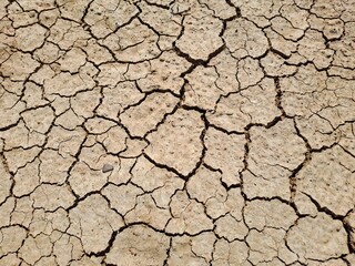 cracked earth texture