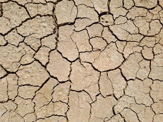 dry cracked earth