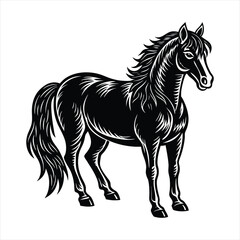 black horse vector illustration