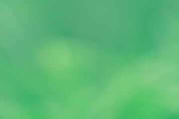 Dreamy electric spring green zen bokeh background of saturated chartreuse blend and bright leafy green. . Create a lovely ethereal, serene and tranquil backdrop from nature's  colors.