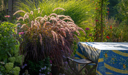 The golden hour highlights a mystical inviting garden with beautiful purple fountain grass, pennisetum rubrum, and Miscanthus Sinensis and Red Cardinal Vine twining up an arbor. 