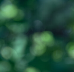 Dreamy green zen bokeh background of various soft color greens for any creative project. Create a lovely ethereal, serene and tranquil backdrop from nature's  colors.
