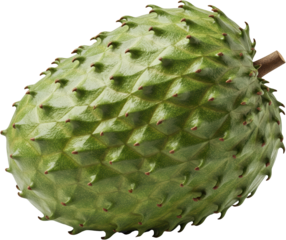 soursop fruit isolated on transparent background, fresh and delicious organic food, juicy and healthy fruits