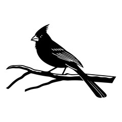 Vintage Cardinal Drawing Vector Illustration