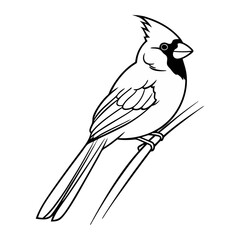 Simple Cardinal Bird Vector Illustration