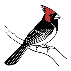 Cardinal in Nature Scene Vector Illustration