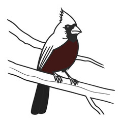 Cardinal Bird Outline Vector Illustration