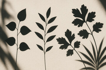 Photo of Silhouettes of various leaves and branches cast on a textured wall