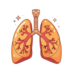 Lung human anatomy biology organ body system health care and medical hand drawn cartoon vector art illustration