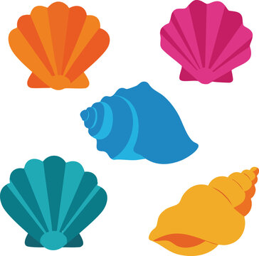 Colorful seashells vector illustration with orange, blue, teal, pink, and yellow shells in flat design style 