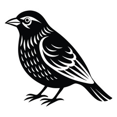 Obraz premium Bird icon, silhouette, black and white logo on white background