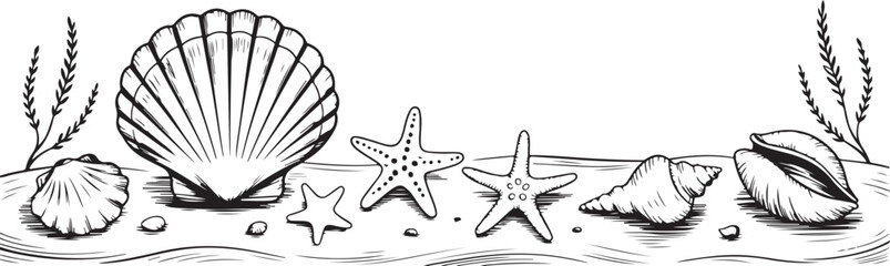 Black and white illustration of seashells and starfish on the beach