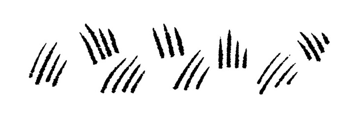 Bear and cat scratch marks with claw damage effect. Flat vector illustration isolated on white background.
