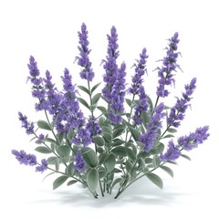 Obraz premium Purple flowering shrub rendered in a digital illustration.
