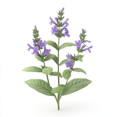 Three-branched flowering plant against a plain background.