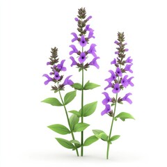 Obraz premium Three vibrant purple flowers with green leaves against a white background.