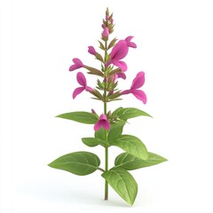 Isolated pink flower plant vertical  shot.