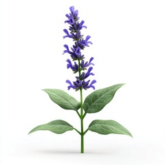 Obraz premium A vibrant purple flower stalk with lush green leaves against a white background.