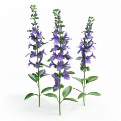 Fototapeta premium Three sprigs of purple flowers with green leaves against a white backdrop.
