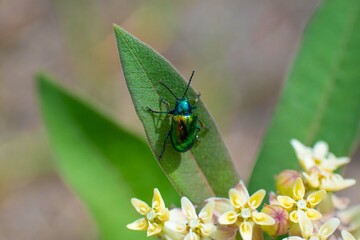 Outdoor Sightings