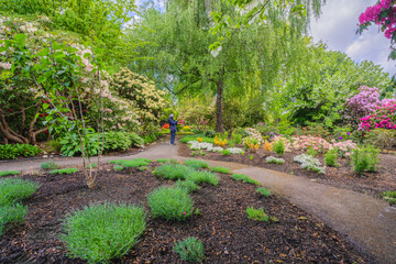 Taking in the splendor in the gardens at Deer Lake Park, Burnaby, BC, during Spring.
