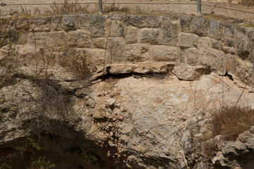 Reptiles are eternal inhabitants of wells and ancient reservoirs