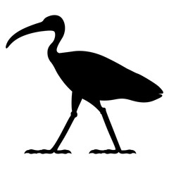 Obraz premium Standing ibis bird. Ethnic ancient Egyptian animal design. Black silhouette on white background.