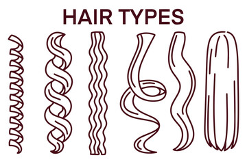 Black and white line art chart showing a variety of hair textures from curly and coily to straight strands. Great as printable for diversity education, beauty studies, or coloring sheets