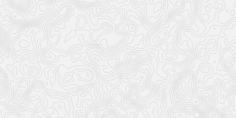  white topographic contour line pattern. Abstract and modern design element, ideal for backgrounds, textures, and minimalist designs white background.