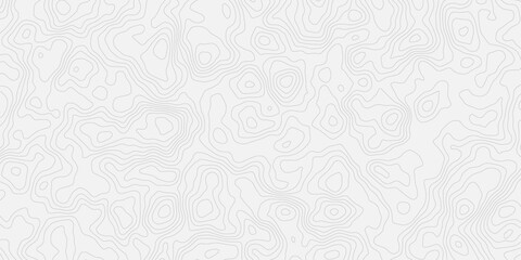  white topographic contour line pattern. Abstract and modern design element, ideal for backgrounds, textures, and minimalist designs white background.
