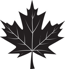 Fototapeta premium maple leaf vector