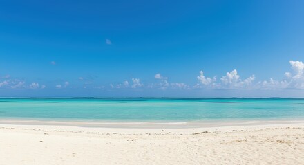 Fototapeta premium Tropical beach with white sand and turquoise ocean under clear blue sky. Empty seascape for summer travel vacation.