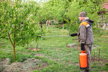 A gardener sprays fruit trees against diseases and pests using a garden sprayer on a spring day
