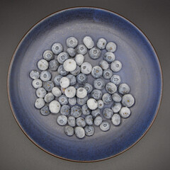 health benefits of blueberries frozen blueberries organic plate