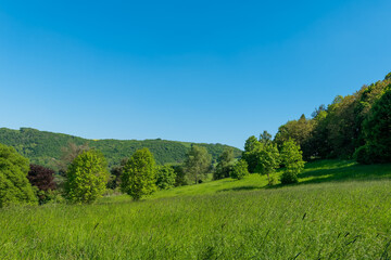 Obraz premium Vibrant green landscape under a bright blue sky captures a peaceful summer day in nature