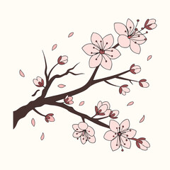 Elegant Cherry Blossom Branch Illustration Delicate Pink Flowers and Falling Petals