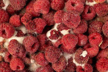 spoiled food products naturally grown raspberries