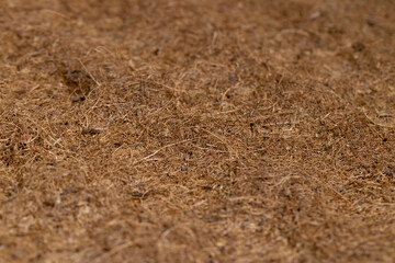 a part of a used coconut mattress to ensure hardness, closeup