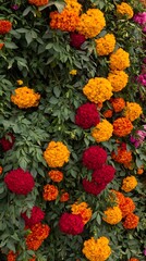 Vibrant Red and Orange Marigold Flower Wall