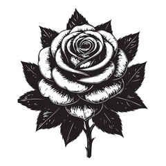 Black and white vintage vector rose flower illustration for a seamless floral pattern design