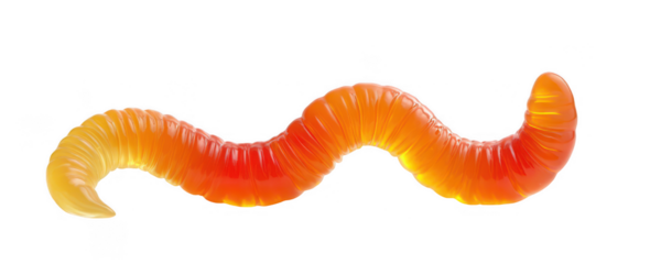 Gummy worm isolated on a white background, png, transparent