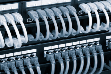 A row of cablesare connected to a black box. Internet and communications concept